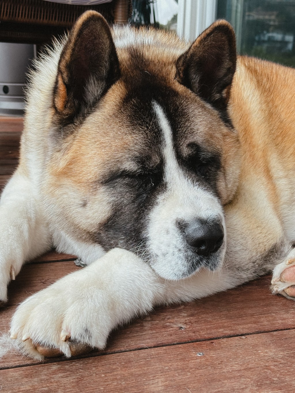 Episode 2: When a Home Breathes Easy: The Quiet Art of House-Sitting&nbsp;Well